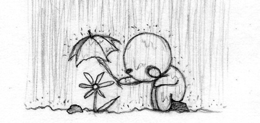 Umbrella shading a plant from the rain