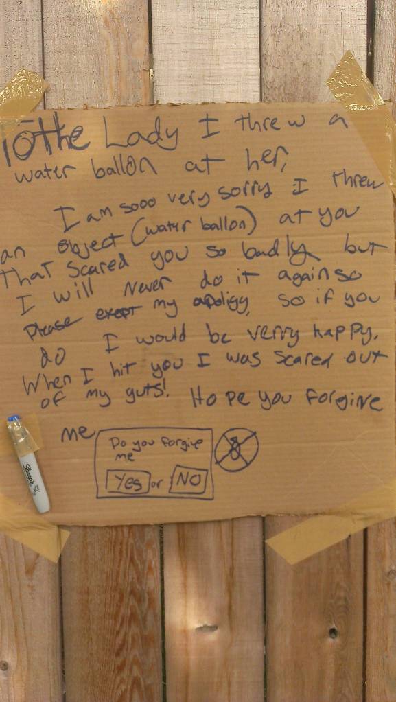 To The Lady I Threw a Water Ballon At...