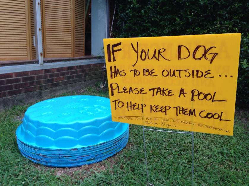 free dog paddling pools