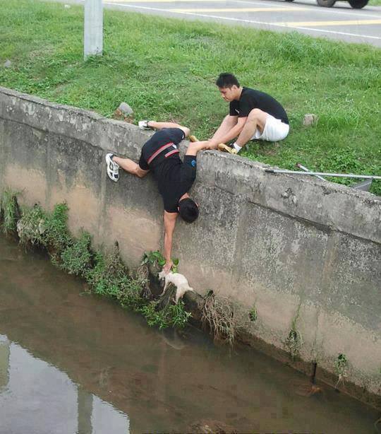 two men rescue a kitten