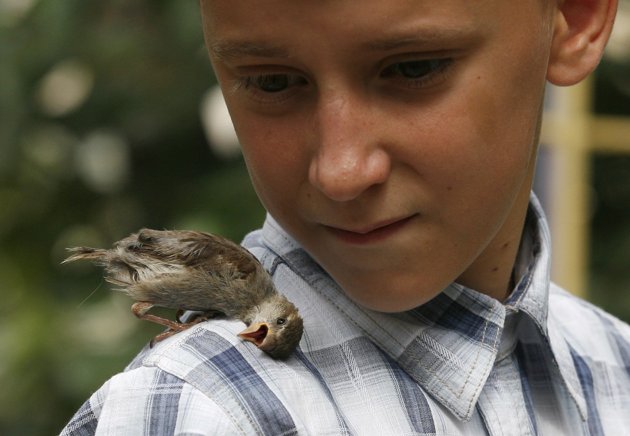 Vadim walks with Abi near his grandmother's house in the town of Minusinsk