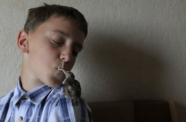 Boy, 12, forms touching bond with tiny sparrow after nursing it back to health