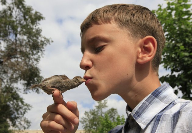 adim Veligurov, 12, kisses Abi, a wild sparrow, during a walk near his grandmother's house in the town of Minusinsk, some 425 km (264 miles) south of Russia's Siberian city of Krasnoyarsk