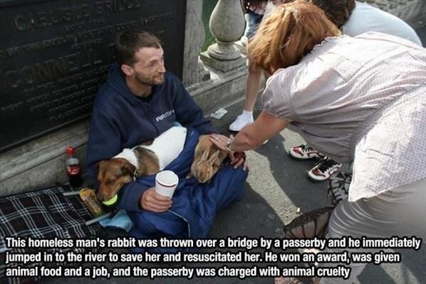 a homeless man saves his rabbit