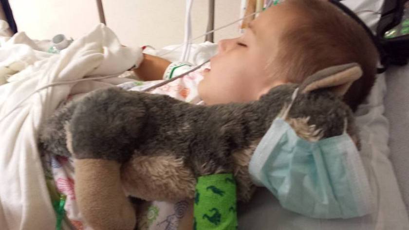 Joshua Wade, 9-Year-Old Boy, And His Stuffed Wolf Get The BEST Medical Treatment 