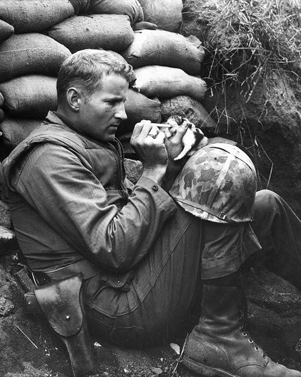 solider feeding a kitten
