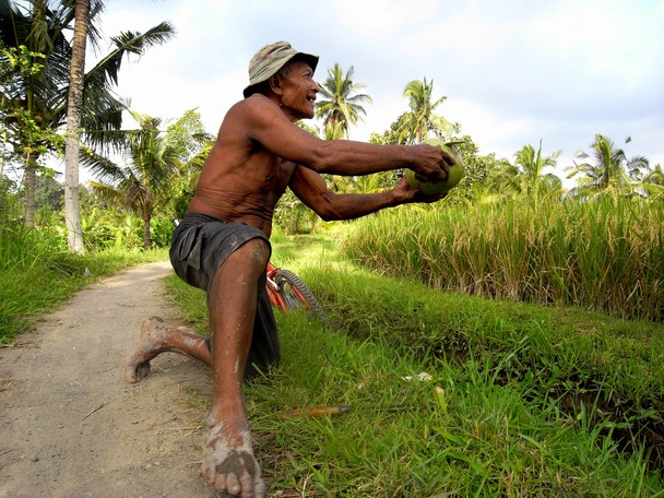 A stranger offers us coconuts as 