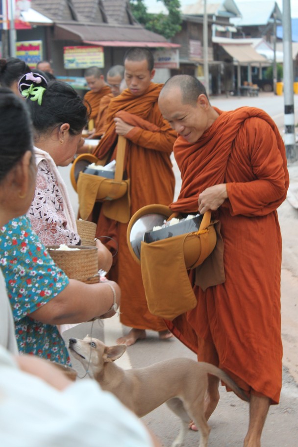 alms to monks and a pup