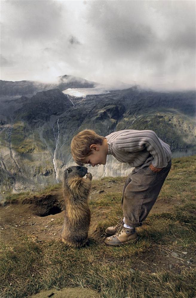 marmot whisperer