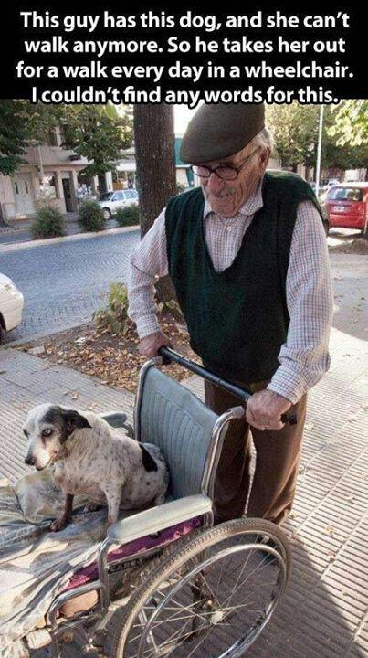 an old man and his dog