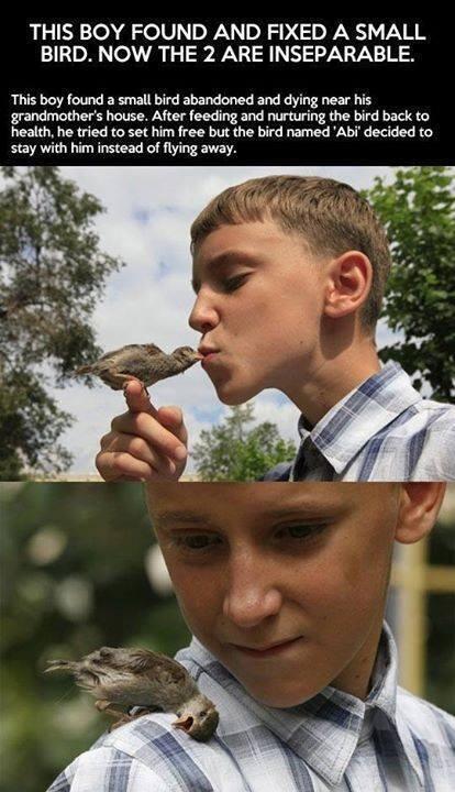 Boy and his little bird