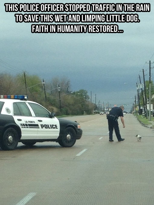 policeman rescues dog on the road