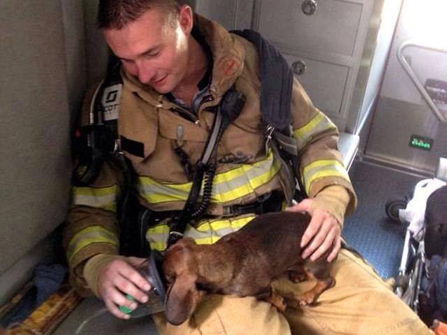 This was taken after a firefighter risked his life to save a puppy from a burning house...