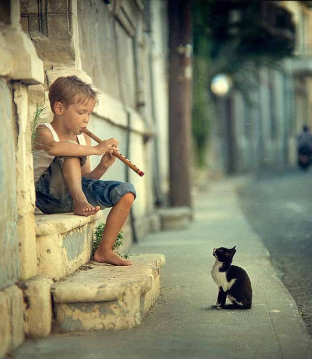 little boy a flute and a kitten