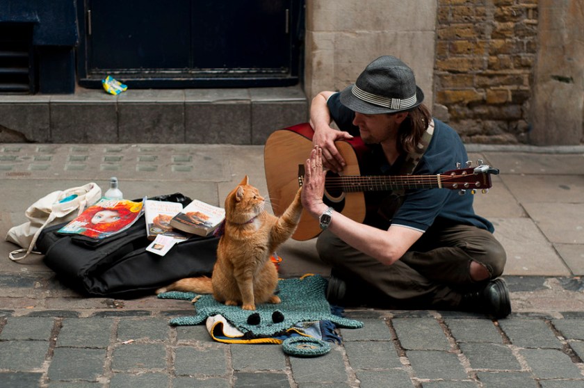 This is James Bowen with his cat Bob