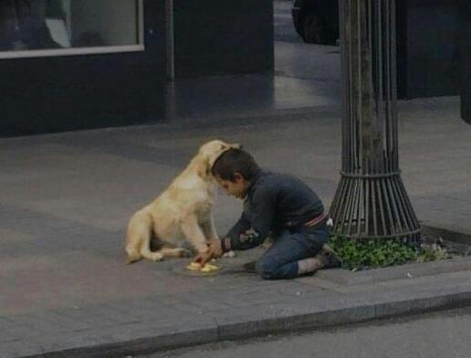 Kid with a Heart of Gold ! A homeless boy sharing his food with a homeless dog.