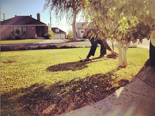 "That moment when you go outside to rake your front yard and you notice your neighbour is already doing it." kindness