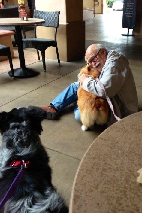  A corgi bringing joy to an elderly man she just met.
