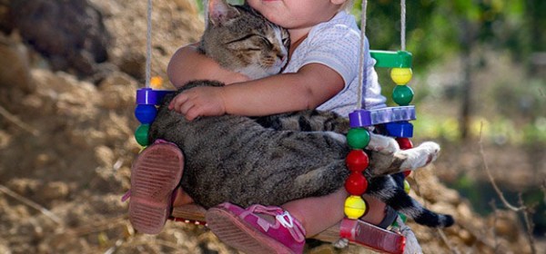 cat and baby on a swing