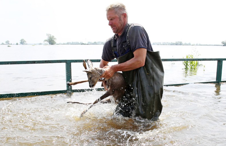 Fisherman Gernot Quaschny rescues a deer from the floods near Schoenhausen, Germany, on June 12, 2013. Due to a broken dike on the Elbe River, several villages in the area were flooded.
