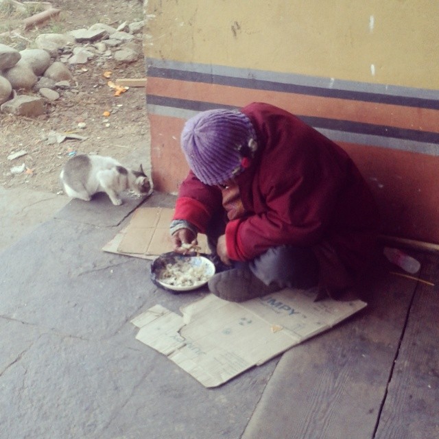 Sharing What Little He Has With a Cat