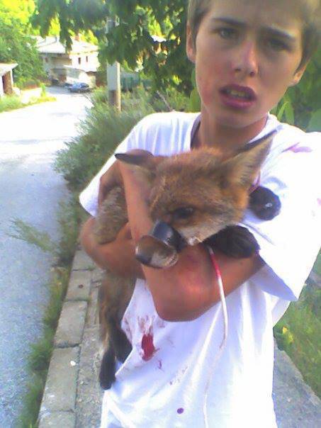 This is a picture of Luke Rowles when he was 15. He saw a group of men in a garden, kicking and beating this poor fox whose mouth they had taped up. Luke went charging into the garden with no regard for his own safety, shouted at the men and grabbed the fox. After seeing to its wounds, he released the fox. Now he continues rescuing dogs for RSDR. Brave and compassionate young man with a heart of gold.