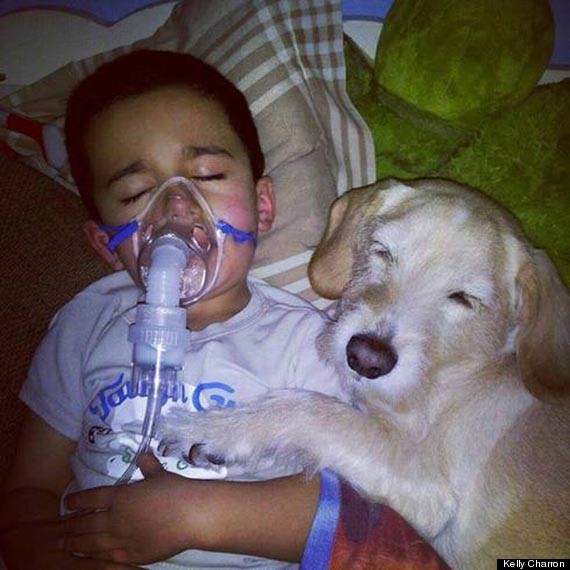 Mason and his dog, Prada, are both 5 years old. They’ve lived in Queens, N.Y., since Mason’s mom, Kelly Charon, rescued Prada in April 2012.  Last October, during Superstorm Sandy, their family was exposed to mold after the dining room ceiling collapsed.  Charon told The Huffington Post that Mason and his siblings then began experiencing “chest infection after chest infection.” And in November, when Mason was having difficulty breathing one night, Charon hooked him up to a nebulizer. She left the room after he fell asleep.  When she came back, she found him and Prada [as shown in the photo above]  Charon told HuffPost that Mason and his siblings haven’t gotten sick since the mold was removed from their house. But she’ll never forget this moment.  “It took my breath away,” she said.”