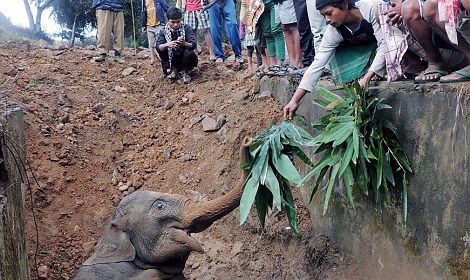 Stuck: Thankfully dozens of passengers stopped to lend a hand as he became submerged in mud