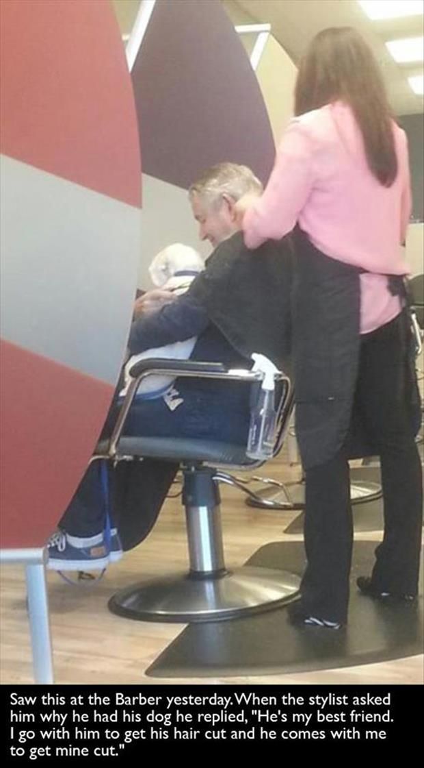 man and dog best friends getting a haircut