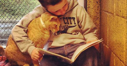 Children Read To Shelter Cats To Soothe Them1