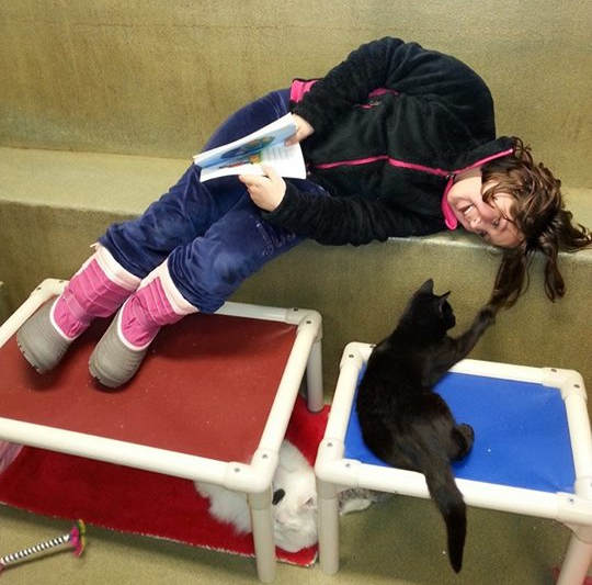 Children Read To Shelter Cats To Soothe Them1