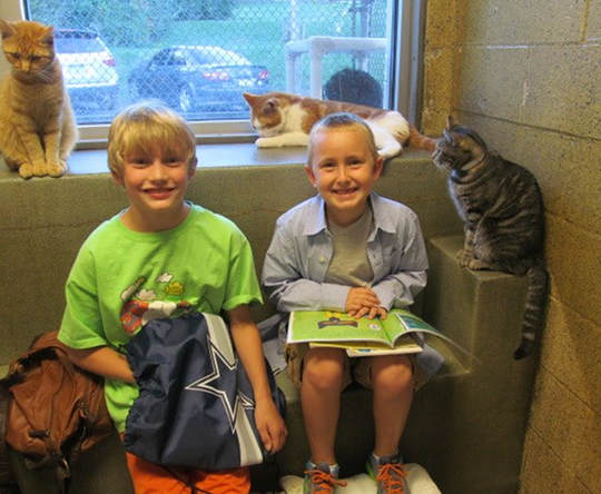 Children Read To Shelter Cats To Soothe Them1