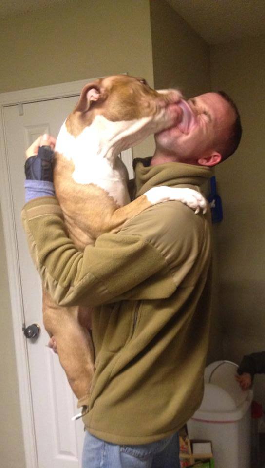 dog licking his master just returned from afghanistan