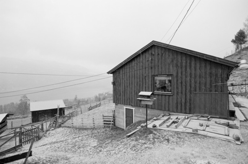 heartbreaking-photo-series-captures-the-final-years-of-two-brothers-and-lifelong-best-friends