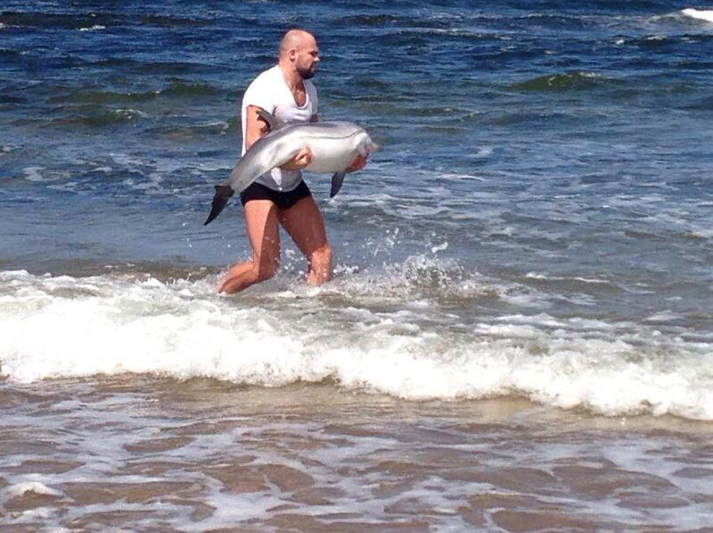 MMA Fighter Rescues a Baby Dolphin on his day off.