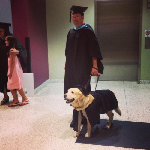 A Dog's Degree