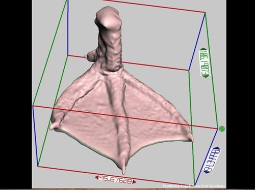 This Flipper is Made for Walking