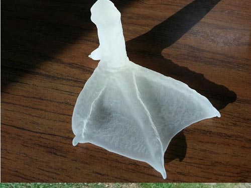 This Flipper is Made for Walking