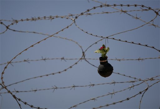 West Bank garden of tear gas grenades