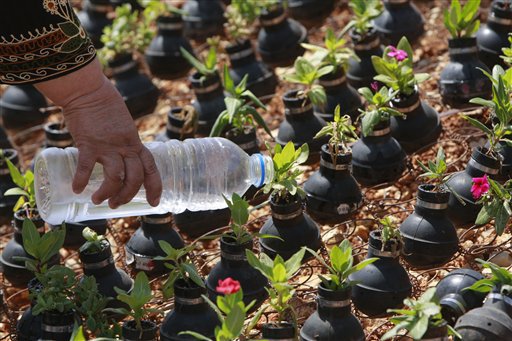 West Bank garden of tear gas grenades