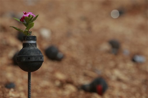 West Bank garden of tear gas grenades