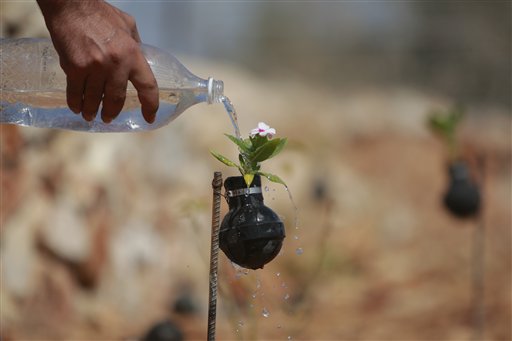 West Bank garden of tear gas grenades