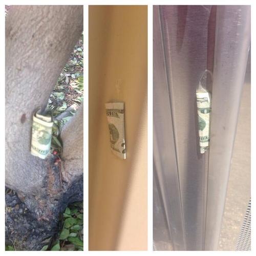 Hidden Cash is the Twitter handle of an anonymous person 