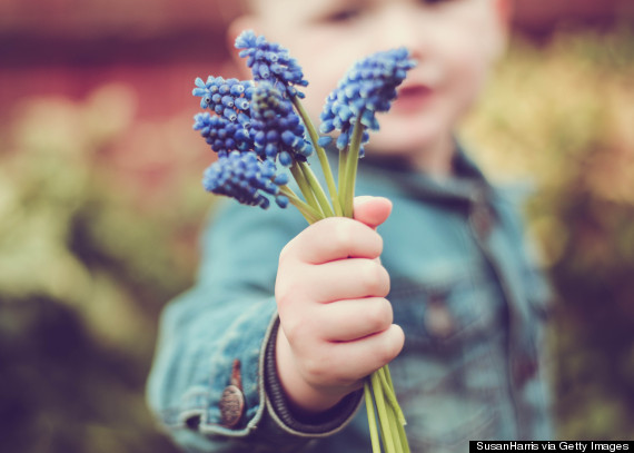 Boy (2-3) holding blue flowers
