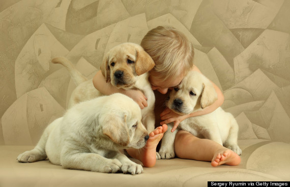 Boy with three puppies