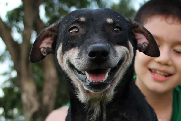 What This Man Saw His Little Boy Doing Is Amazing. But What Happened Next? Even Better.