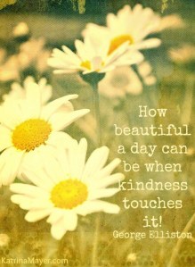 Daisies in a field on a sunny day