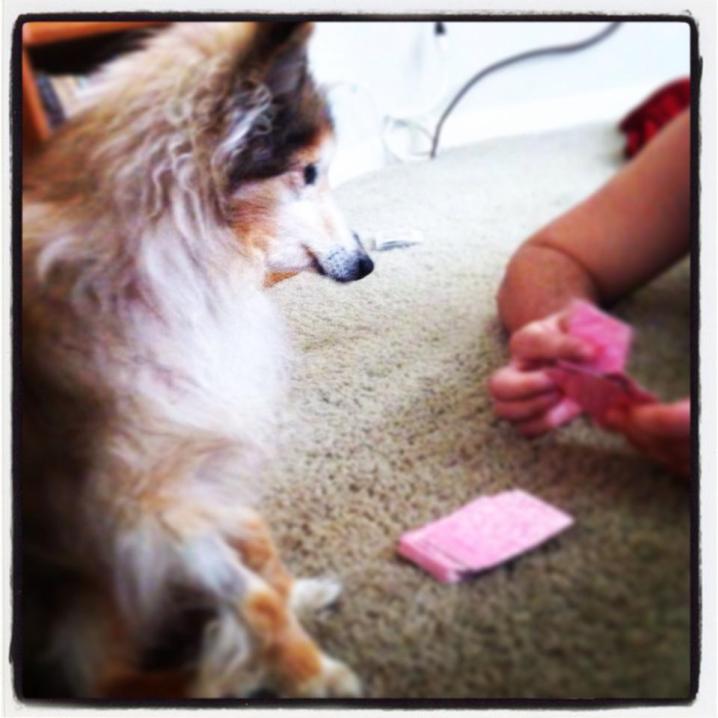 A Puppy In Need Walked Up To A Man At Work. What Followed Shattered My Heart.