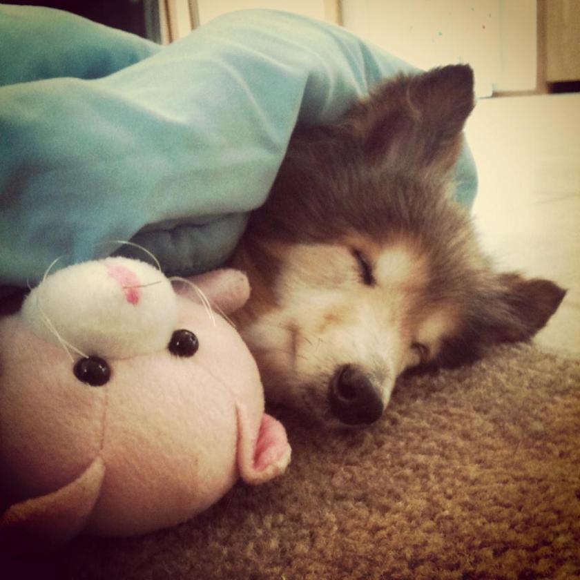 A Puppy In Need Walked Up To A Man At Work. What Followed Shattered My Heart.