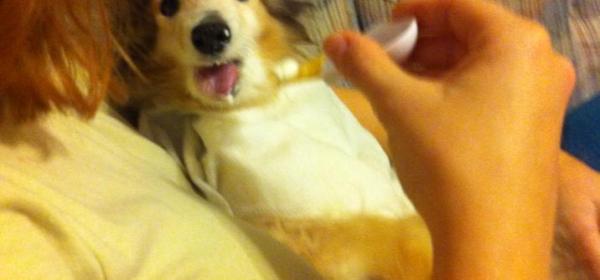 A Puppy In Need Walked Up To A Man At Work. What Followed Shattered My Heart.